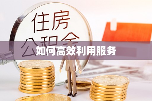 新巴尔虎左旗如何高效利用服务