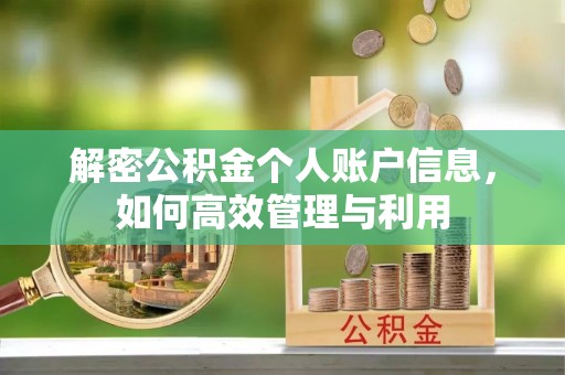 新巴尔虎左旗解密公积金个人账户信息，如何高效管理与利用
