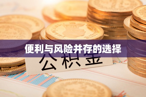 新巴尔虎左旗便利与风险并存的选择